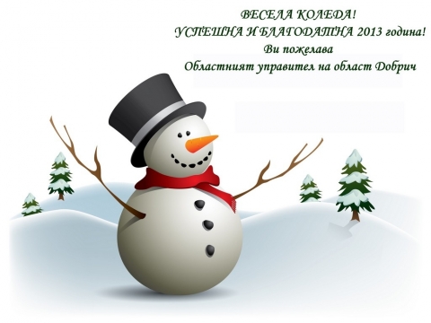 files/gallery/snowman_2013N__1024x768_.jpg